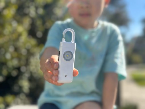 How to Teach Your Kids About Safety with Ally